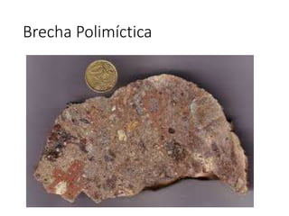 Brecha Polimíctica
 
