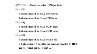 MHC (HLA) class II includes : 3Major loci .
HLA-DP
α-chain encoded by HLA-DPA1 locus
β-chain encoded by HLA-DPB1locus
HLA-DQ
α-chain encoded by HLA-DQA1 locus
β-chain encoded by HLA-DQB1 locus
HLA-DR
α-chain encoded by HLA-DRA locus
4 β-chains (only 3 possible per person), encoded by HLA-
DRB1, DRB3, DRB4, DRB5 loci
 