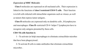 Expression of MHC Molecules
Class I molecules are expressed on all nucleated cells . Their expression is
linked to the functions of class I restricted CD 8+T cells. Their function
is to kill cells infected with intracellular organisms such as viruses ,as well
as tumors that express tumor antigens .
Class II molecules are expressed only on dendritic cells , B lymphocytes
and macrophages. Class II- restricted CD 4+ helper T lymphocytes have to
recognize only antigens presented by these cells.
CD4+Th cells function is:
1 – To activate (or help) macrophages to eliminate extracellular microbes
that have been phagocytosed .
2- To activate B cells to make antibodies that eliminate extracellular
miccrobes .
 