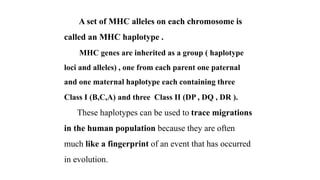 A set of MHC alleles on each chromosome is
called an MHC haplotype .
MHC genes are inherited as a group ( haplotype
loci and alleles) , one from each parent one paternal
and one maternal haplotype each containing three
Class I (B,C,A) and three Class II (DP , DQ , DR ).
These haplotypes can be used to trace migrations
in the human population because they are often
much like a fingerprint of an event that has occurred
in evolution.
 