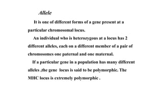 Allele
It is one of different forms of a gene present at a
particular chromosomal locus.
An individual who is heterozygous at a locus has 2
different alleles, each on a different member of a pair of
chromosomes one paternal and one maternal.
If a particular gene in a population has many different
alleles ,the gene locus is said to be polymorphic. The
MHC locus is extremely polymorphic .
 