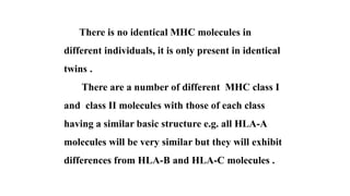 There is no identical MHC molecules in
different individuals, it is only present in identical
twins .
There are a number of different MHC class I
and class II molecules with those of each class
having a similar basic structure e.g. all HLA-A
molecules will be very similar but they will exhibit
differences from HLA-B and HLA-C molecules .
 