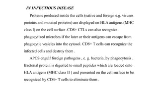 IN INFECTIOUS DISEASE
Proteins produced inside the cells (native and foreign e.g. viruses
proteins and mutated proteins) are displayed on HLA antigens (MHC
class I) on the cell surface .CD8+ CTLs can also recognize
phagocytized microbes if the later or their antigens can escape from
phagocytic vesicles into the cytosol. CD8+ T cells can recognize the
infected cells and destroy them .
APCS engulf foreign pathogens , e. g. bacteria ,by phagocytosis .
Bacterial protein is digested to small peptides which are loaded onto
HLA antigens (MHC class II ) and presented on the cell surface to be
recognized by CD4+ T cells to eliminate them .
 