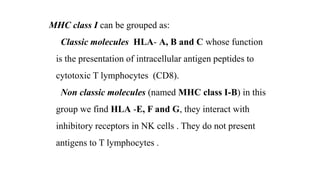 MHC class I can be grouped as:
Classic molecules HLA- A, B and C whose function
is the presentation of intracellular antigen peptides to
cytotoxic T lymphocytes (CD8).
Non classic molecules (named MHC class I-B) in this
group we find HLA -E, F and G, they interact with
inhibitory receptors in NK cells . They do not present
antigens to T lymphocytes .
 