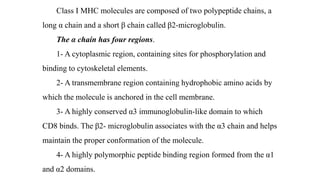 Class I MHC molecules are composed of two polypeptide chains, a
long α chain and a short β chain called β2-microglobulin.
The α chain has four regions.
1- A cytoplasmic region, containing sites for phosphorylation and
binding to cytoskeletal elements.
2- A transmembrane region containing hydrophobic amino acids by
which the molecule is anchored in the cell membrane.
3- A highly conserved α3 immunoglobulin-like domain to which
CD8 binds. The β2- microglobulin associates with the α3 chain and helps
maintain the proper conformation of the molecule.
4- A highly polymorphic peptide binding region formed from the α1
and α2 domains.
 