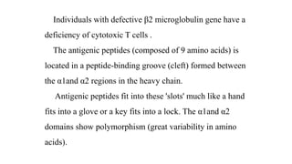 Individuals with defective β2 microglobulin gene have a
deficiency of cytotoxic T cells .
The antigenic peptides (composed of 9 amino acids) is
located in a peptide-binding groove (cleft) formed between
the α1and α2 regions in the heavy chain.
Antigenic peptides fit into these 'slots' much like a hand
fits into a glove or a key fits into a lock. The α1and α2
domains show polymorphism (great variability in amino
acids).
 