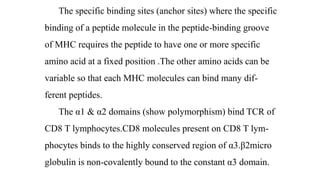 The specific binding sites (anchor sites) where the specific
binding of a peptide molecule in the peptide-binding groove
of MHC requires the peptide to have one or more specific
amino acid at a fixed position .The other amino acids can be
variable so that each MHC molecules can bind many dif-
ferent peptides.
The α1 & α2 domains (show polymorphism) bind TCR of
CD8 T lymphocytes.CD8 molecules present on CD8 T lym-
phocytes binds to the highly conserved region of α3.β2micro
globulin is non-covalently bound to the constant α3 domain.
 