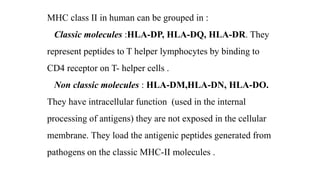 MHC class II in human can be grouped in :
Classic molecules :HLA-DP, HLA-DQ, HLA-DR. They
represent peptides to T helper lymphocytes by binding to
CD4 receptor on T- helper cells .
Non classic molecules : HLA-DM,HLA-DN, HLA-DO.
They have intracellular function (used in the internal
processing of antigens) they are not exposed in the cellular
membrane. They load the antigenic peptides generated from
pathogens on the classic MHC-II molecules .
 