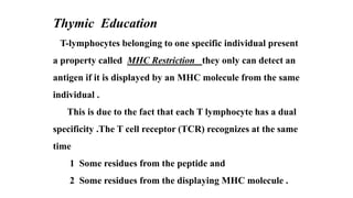 Thymic Education
T-lymphocytes belonging to one specific individual present
a property called MHC Restriction they only can detect an
antigen if it is displayed by an MHC molecule from the same
individual .
This is due to the fact that each T lymphocyte has a dual
specificity .The T cell receptor (TCR) recognizes at the same
time
1 Some residues from the peptide and
2 Some residues from the displaying MHC molecule .
 