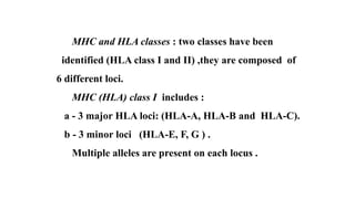 MHC and HLA classes : two classes have been
identified (HLA class I and II) ,they are composed of
6 different loci.
MHC (HLA) class I includes :
a - 3 major HLA loci: (HLA-A, HLA-B and HLA-C).
b - 3 minor loci (HLA-E, F, G ) .
Multiple alleles are present on each locus .
 