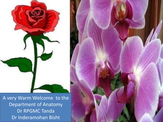 A very Warm Welcome to the
Department of Anatomy
Dr RPGMC Tanda
Dr Inderamohan Bisht
 