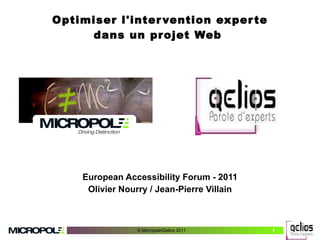 Optimiser l'intervention experte dans un projet Web  European Accessibility Forum - 2011 Olivier Nourry / Jean-Pierre Villain 