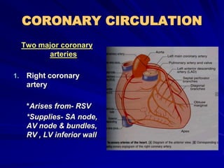 CORONARY CIRCULATION
Two major coronary
arteries
1. Right coronary
artery
*Arises from- RSV
*Supplies- SA node,
AV node & bundles,
RV , LV inferior wall
 