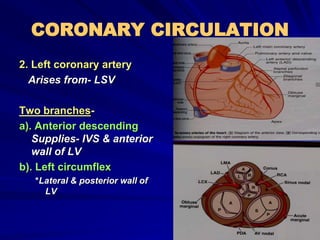 CORONARY CIRCULATION
2. Left coronary artery
Arises from- LSV
Two branches-
a). Anterior descending
Supplies- IVS & anterior
wall of LV
b). Left circumflex
*Lateral & posterior wall of
LV
 