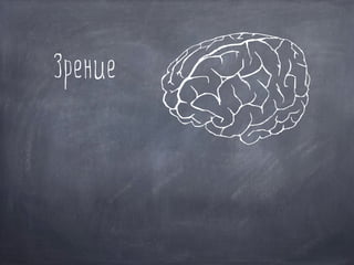 Зрение
 
