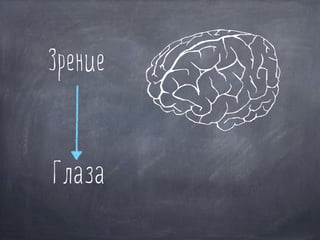 Глаза
Зрение
 