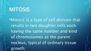 Presentation mitosis | PPTX