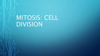 MITOSIS: CELL
DIVISION
 