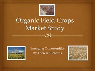 Organic Field Crops Market Study,[object Object],Emerging Opportunities,[object Object],By Theresa Richards,[object Object]