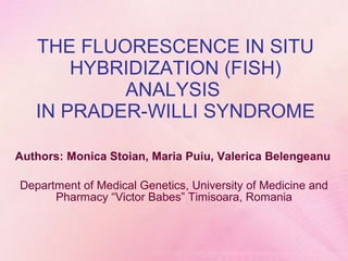 THE FLUORESCENCE IN SITU HYBRIDIZATION (FISH) ANALYSIS  IN PRADER-WILLI SYNDROME Authors: Monica Stoian, Maria Puiu, Valerica Belengeanu Department of Medical Genetics, University of Medicine and Pharmacy “Victor Babes” Timisoara, Romania 