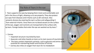 Presentation MOPA021 ANATOMY2 [Autosaved].pptx