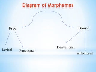 Diagram of Morphemes



    Free                                 Bound




                         Derivational
Lexical    Functional
                                        inflectional
 