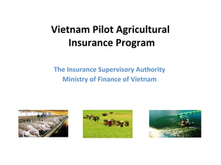 Vietnam Pilot Agricultural
    Insurance Program

The Insurance Supervisory Authority
  Ministry of Finance of Vietnam
 