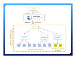 Linking international standards to REDD+ projects