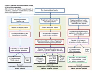 Linking international standards to REDD+ projects