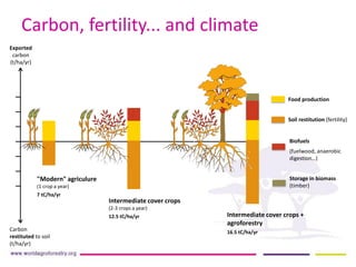 Addressing land degradation and desertification | PDF