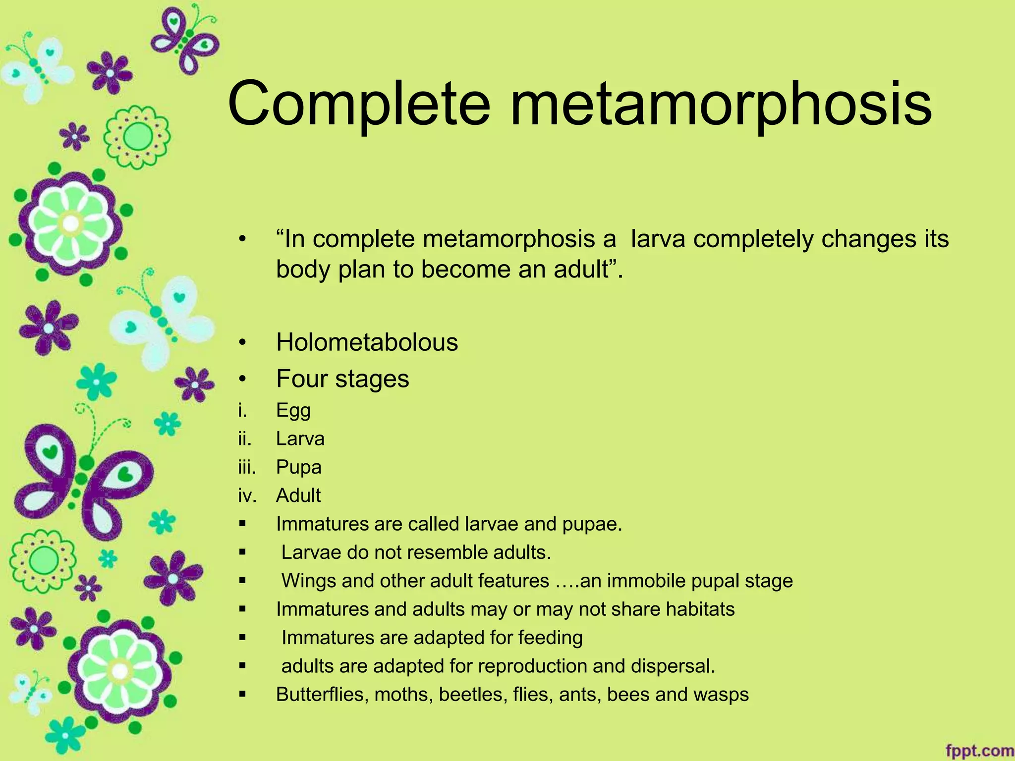 Metamorphosis in insects ,Its types (Mubaika seher) | PPT