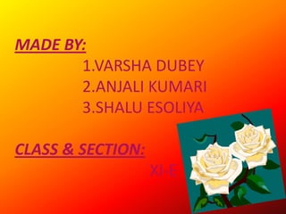 MADE BY:
       1.VARSHA DUBEY
       2.ANJALI KUMARI
       3.SHALU ESOLIYA

CLASS & SECTION:
                   XI-E
 