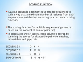 SCORING FUNCTION
Multiple sequence alignment is to arrange sequences in
such a way that a maximum number of residues from each
sequence are matched up according to a particular scoring
function.
The scoring function for multiple sequence alignment is
based on the concept of sum of pairs (SP)
In calculating the SP scores, each column is scored by
summing the scores for all possible pairwise matches,
mismatches and gap costs.
SEQUENCE 1 G K N
SEQUENCE 2 T R N
SEQUENCE 3 S H E
SUM OF PAIRS -2 +1 +6 = 5
 