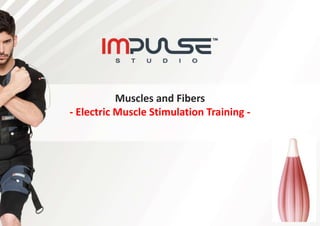 Muscles and Fibers
- Electric Muscle Stimulation Training -
 