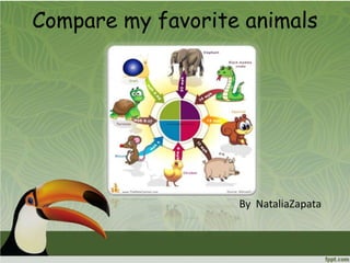 Compare my favorite animals




                   By NataliaZapata
 