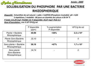 P disponible
(ppm)
% augmentation
P disponible
UFC/g de sol
Plante + Bactérie
Rhizosphèrique
40,99 +28% 2,3 x 104
Plante Sans Bactérie
Rhizosphèrique
32,10 - 0
Sans plante + Bactérie
Rhizosphèrique
58,18 +67% 1,7 x 103
Sans plante
Sans Bactérie
Rhizosphèrique
34,74 - 0
Année : 2009
Redes MicrobianasRedes Microbianas
SOLUBILISATION DU PHOSPHORE PAR UNE BACTERIE
RHIZOSPHERIQUE
Dispositif : Echantillon de sol naturel + sable + CaHPO4 (Phosphore insoluble) pH = 8,02
5 répétitions / modalité - 60 jours en chambre de culture à 20-24 °C
P-total: 111,29 mg/l PLSABJ-3.8 P-disponible: 34,27 mg/l PLSS-3.5
Dose d’inoculation : env 3.104 CFU/g sol
 