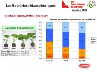 11,0% 11,0%
5,0%
36,0%
20,0%
21,0%
35%
42%
44%
18,0%
27,0% 30,0%
0%
10%
20%
30%
40%
50%
60%
70%
80%
90%
100%
Témoin Eau Dose N Dose 10 N
Classe 4
Classe 3
Classe 2
Classe 1
Témoin : 53% de boutures en classe 3 et 4
Dose N : 69% de boutures en classe 3 et 4
Dose 10N : 74% de boutures en classe 3 et 4
G.I.E
Fleurs & Plantes
du Sud-Ouest
Catégories d’enracinement
Mesures à 6 semaines sur boutures de GERANIUM
STIMULATION RACINAIRE – Effet PGPR
Année : 2008
 