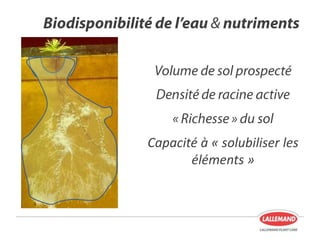 Capacité à « solubiliser les
éléments »
 
