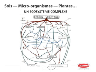 ― ―
UN ECOSYSTEME COMPLEXE
 
