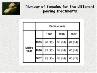 Number of females for the different pairing treatments 