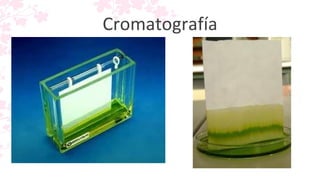 Cromatografía