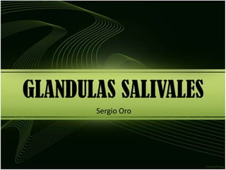 GLANDULAS SALIVALES Sergio Oro 