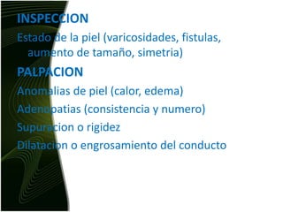 INSPECCIONEstado de la piel (varicosidades, fistulas, aumento de tamaño, simetria)PALPACIONAnomalias de piel (calor, edema)Adenopatias (consistencia y numero)Supuracion o rigidezDilatacion o engrosamiento del conducto