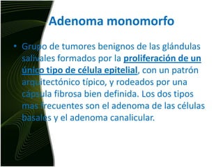 Adenoma monomorfoGrupo de tumores benignos de las glándulas salivales formados por la proliferación de un único tipo de célula epitelial, con un patrón arquitectónico típico, y rodeados por una cápsula fibrosa bien definida. Los dos tipos mas frecuentes son el adenoma de las células basales y el adenoma canalicular.