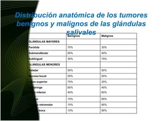 Distribución anatómica de los tumores benignos y malignos de las glándulas salivales