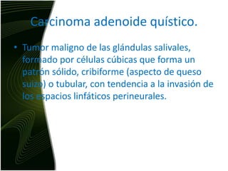Carcinoma adenoide quístico.Tumor maligno de las glándulas salivales, formado por células cúbicas que forma un patrón sólido, cribiforme (aspecto de queso suizo) o tubular, con tendencia a la invasión de los espacios linfáticos perineurales. 