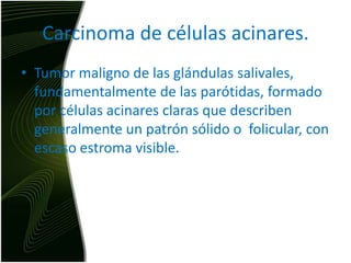 Carcinoma de células acinares.Tumor maligno de las glándulas salivales, fundamentalmente de las parótidas, formado por células acinares claras que describen generalmente un patrón sólido o  folicular, con escaso estroma visible.