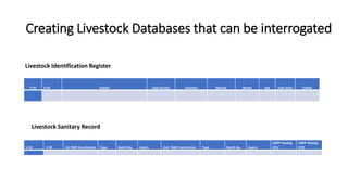 Livestock Identification and Traceability System [LITS] to Enhance ...