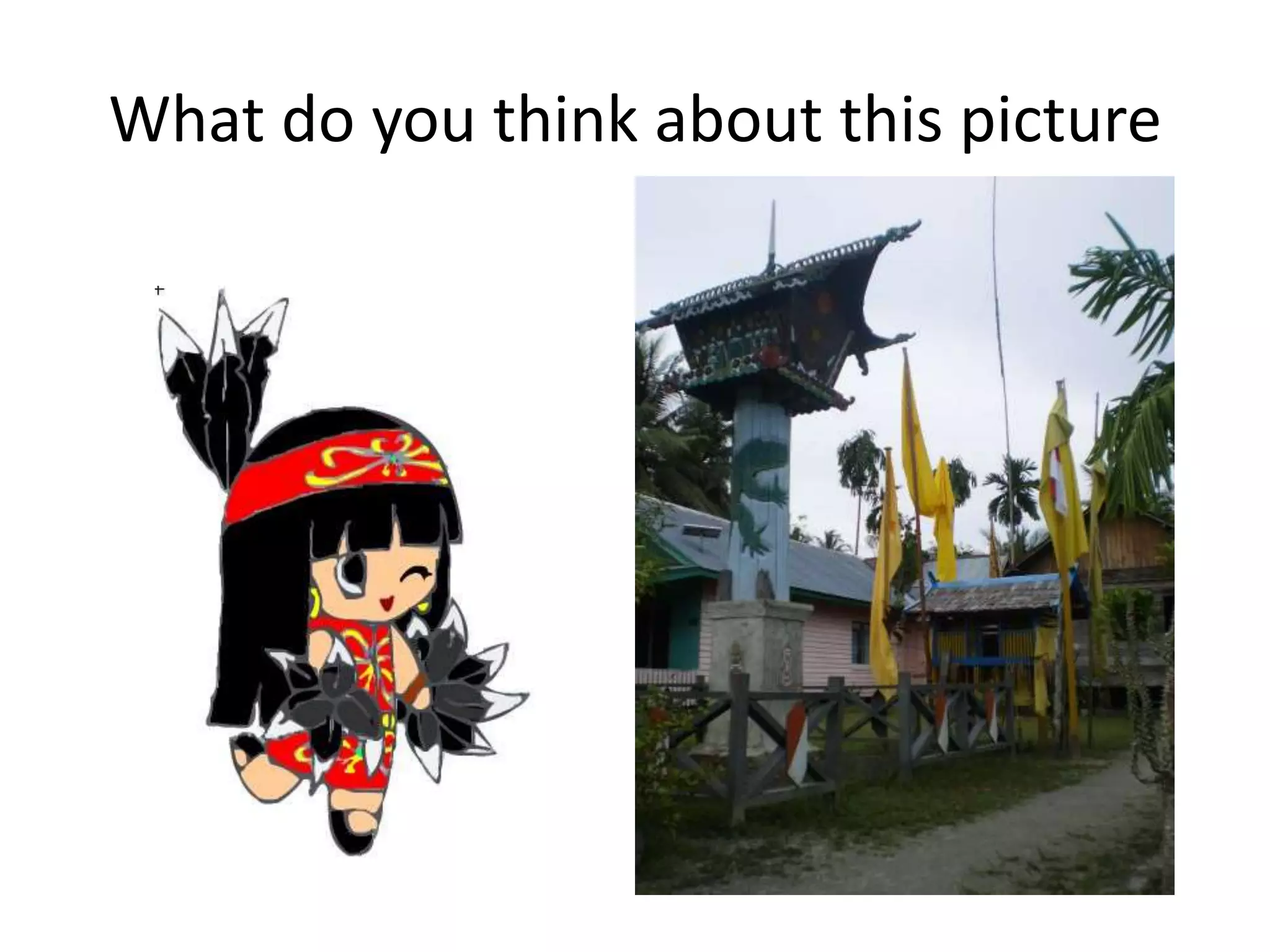 What do you think about this picture
 