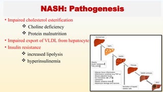 NASH: Pathogenesis
• Impaired cholesterol esterification
 Choline deficiency
 Protein malnutrition
• Impaired export of VLDL from hepatocyte
• Insulin resistance
 increased lipolysis
 hyperinsulinemia
 